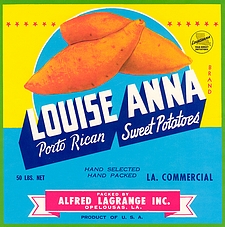 Louise Anna Yam